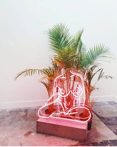 a neon sign sitting on top of a wooden stand next to a palm tree and potted plant