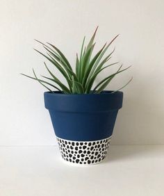 a blue and white potted plant sitting on top of a table next to a wall