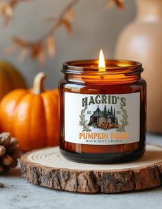 a candle sitting on top of a piece of wood next to pumpkins and pine cones