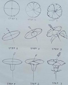 the instructions for how to draw flowers with pencils and ink on paper, in order to