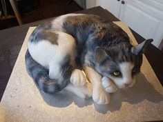 Cat cake Cat Cake Realistic, Kitty Cat Cakes, Carving Cake Recipe, Carving Cake, Carved Cakes, Cat Cakes, Pool Cake, Cat Collector, Disney Cake