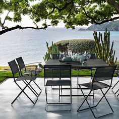 an outdoor table and chairs under a tree with water in the backgroung