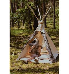 a teepee in the woods with some sticks sticking out of it