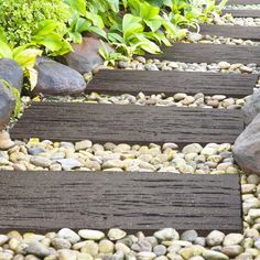 a wooden walkway surrounded by rocks and plants