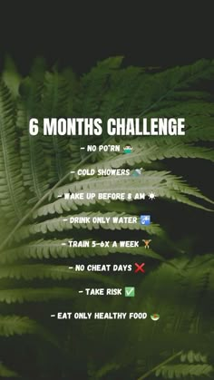 the 6 months challenge is shown with green leaves