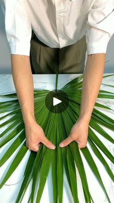 a man is holding palm leaves in his hands