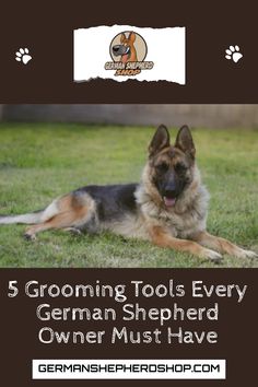 a german shepherd dog laying in the grass with its tongue out and text reading 5 grooming tools every german shepherd owner must have