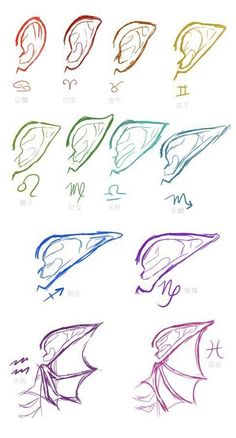 the different types of ear shapes and their corresponding colors are shown in this drawing lesson