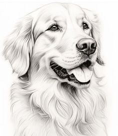 a black and white drawing of a dog