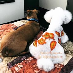 a brown dog laying on top of a bed next to a white stuffed animal