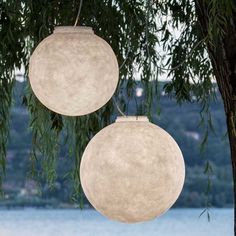 two round lights hanging from a tree over water