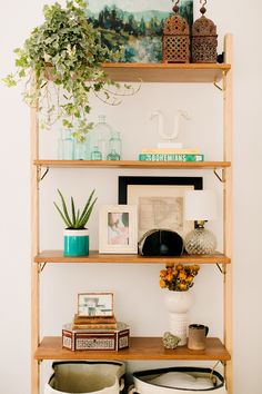 a shelf with books, plants and pictures on it