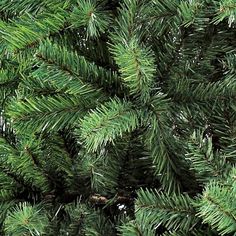 the top of a pine tree with green needles and small yellow lights on it's branches