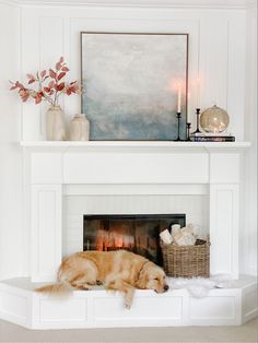 a dog is laying on the fireplace mantle