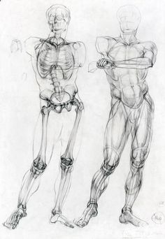 three different views of the human body, one showing muscles and the other looking down