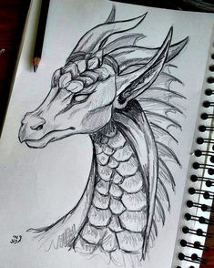 a pencil drawing of a dragon head