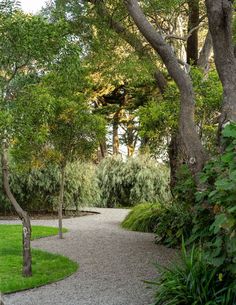 a path in the middle of some trees and grass