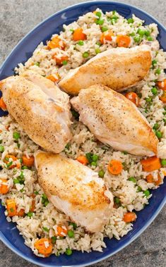 chicken and rice with carrots on a blue plate