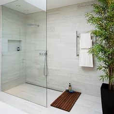 a bathroom with a bamboo plant in the corner and a glass shower door on the side