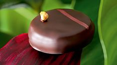 a piece of chocolate sitting on top of a red flower with green leaves in the background