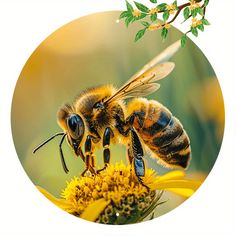 two bees sitting on top of a yellow flower