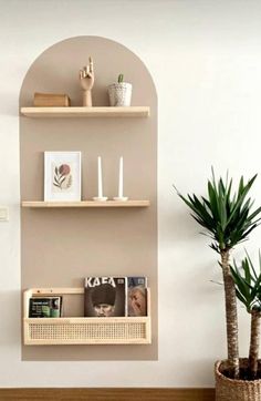 a living room with two shelves on the wall and a potted plant next to it