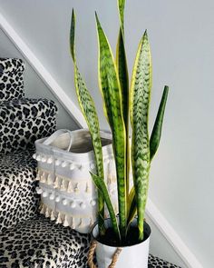 a potted plant sitting on top of a wooden table next to a stair case