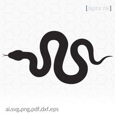 a black snake on a white background