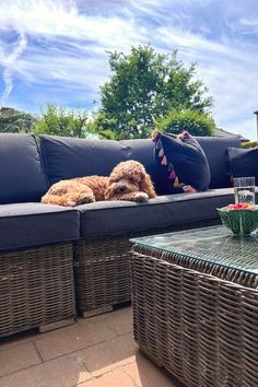 Cute dog sits on rattan garden furniture - modular sofa and coffee table with glass top. Navy blue seat and back cushions with matching navy blue scatter cushions edged with multicolour tassels. Outdoor Sectional Sofa, Sofa Set, Outdoor Living Space, Secret Garden