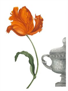 an orange flower sitting next to a vase