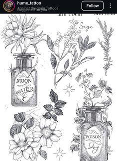 some flowers and jars with the words moon water written on them, in black ink