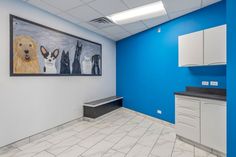 Veterinary Exam Room Design Veterinary Exam Room, Exam Room Design, Animal Hospital Design, Animal Shelter Design, Modern Fixtures, Shelter Design, Interior Renovation