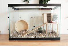 a glass case filled with plants and other items on top of a wooden table next to a potted plant