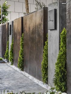 an image of a wall that has plants growing on it and the words in arabic above it