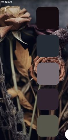 the color palette is different shades of brown, black and grey with some green leaves