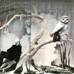 two mannequins dressed in black and white with an owl on a branch