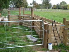 the fence is made of wood and has metal bars on it, along with two sheep