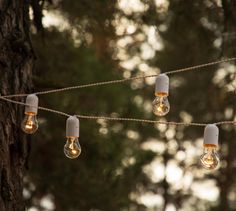 several light bulbs are hanging from a rope in the woods, with trees in the background