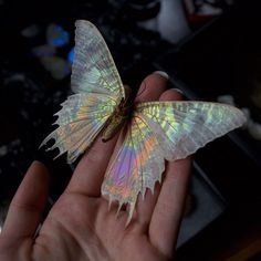 someone holding a butterfly in their hand with the caption's name below it