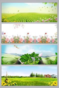 three horizontal banners with flowers and grass