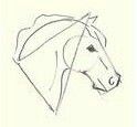 a drawing of a horse's head is shown