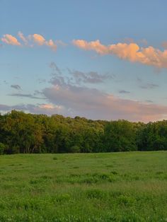 an open field with trees in the background