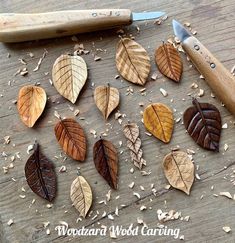 several different types of leaves on a table with a knife and some wood shavings