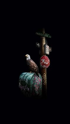 an eagle sitting on top of a suitcase next to a stop sign