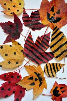 some leaves that have been painted to look like ladybugs and pumpkins on them