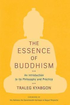 the book cover for the essence of buddhaism