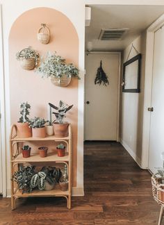 there are many houseplants on the shelves in this room