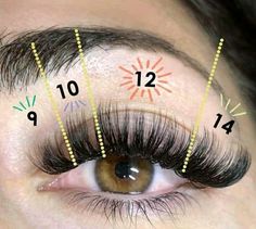 Volume Wet Look Lashes, Lash Map Wet Look, Wet Lash Cat Eye, 14mm Lash Extensions, Volume Cat Eye Lash Extensions Mapping, Lash Extension Mapping Styles, Lash Mapping Eyelash Extensions Volume, Lash Extensions Wet Look, Cat Eye Lash Extensions Map