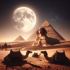 three camels sitting in the sand near some pyramids with a full moon behind them