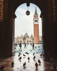 a group of birds sitting on the ground in front of an archway